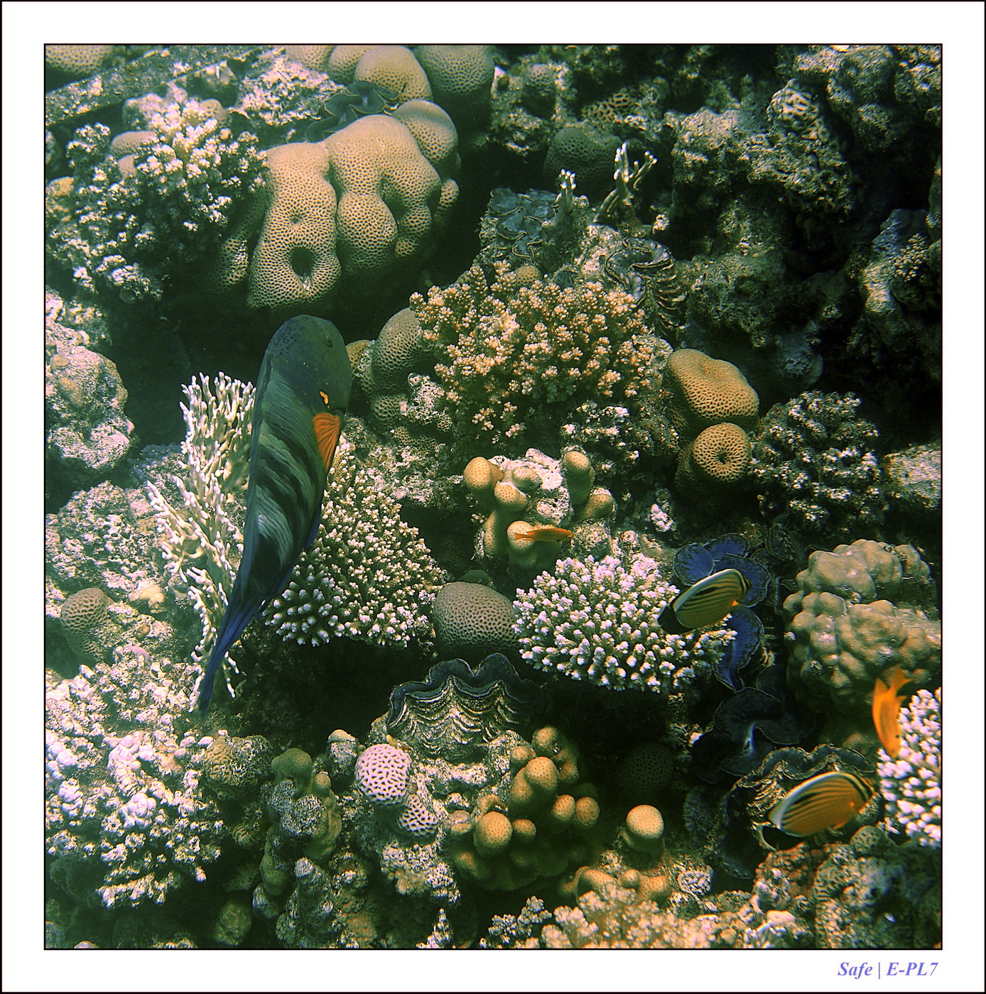 Hurghada - Juillet 2021 - 052